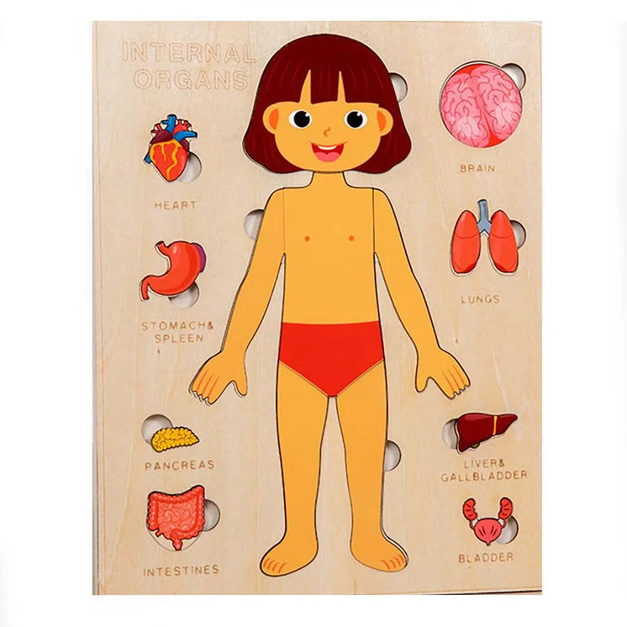 Engaging Kids Wooden Montessori Human Body Organs Puzzle - Educational Learning Toy for Preschool and Kindergarten Activities