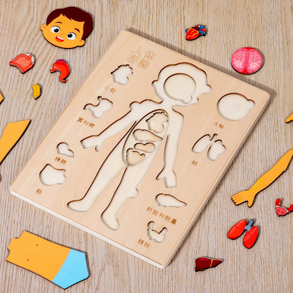 Engaging Kids Wooden Montessori Human Body Organs Puzzle - Educational Learning Toy for Preschool and Kindergarten Activities