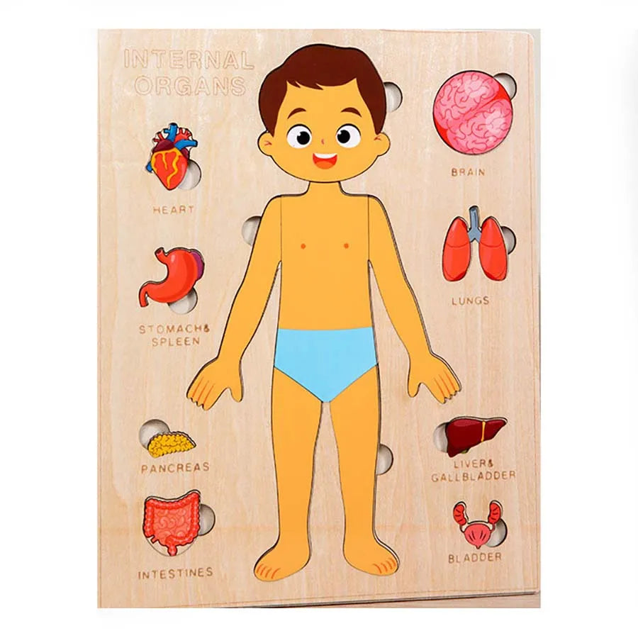 Engaging Kids Wooden Montessori Human Body Organs Puzzle - Educational Learning Toy for Preschool and Kindergarten Activities