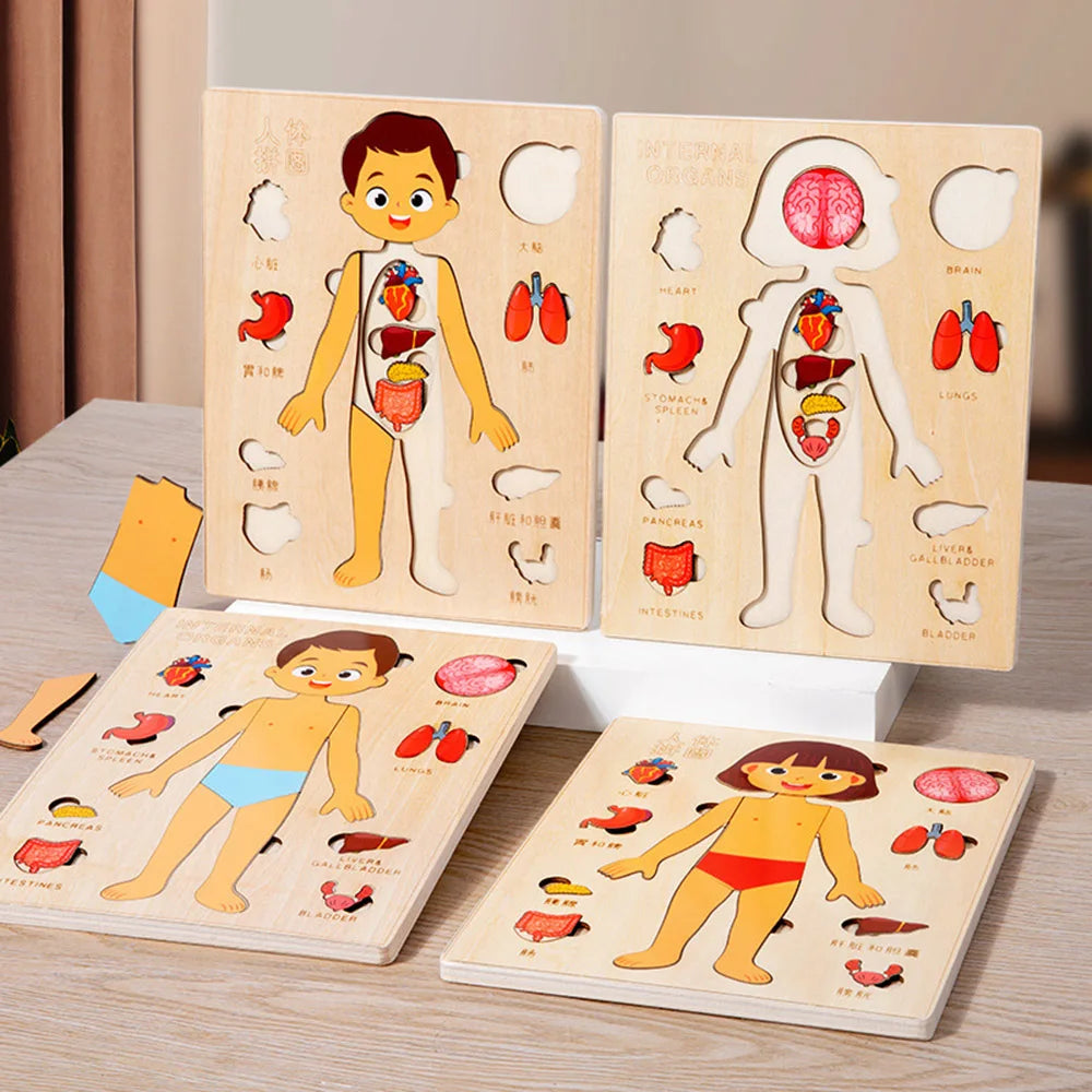 Engaging Kids Wooden Montessori Human Body Organs Puzzle - Educational Learning Toy for Preschool and Kindergarten Activities