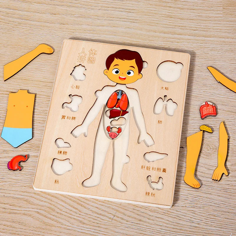 Engaging Kids Wooden Montessori Human Body Organs Puzzle - Educational Learning Toy for Preschool and Kindergarten Activities
